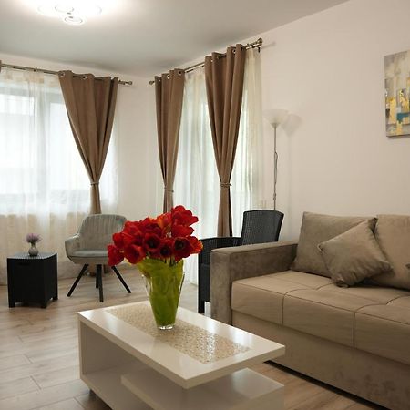 Brigitte Apartment Braşov Dış mekan fotoğraf
