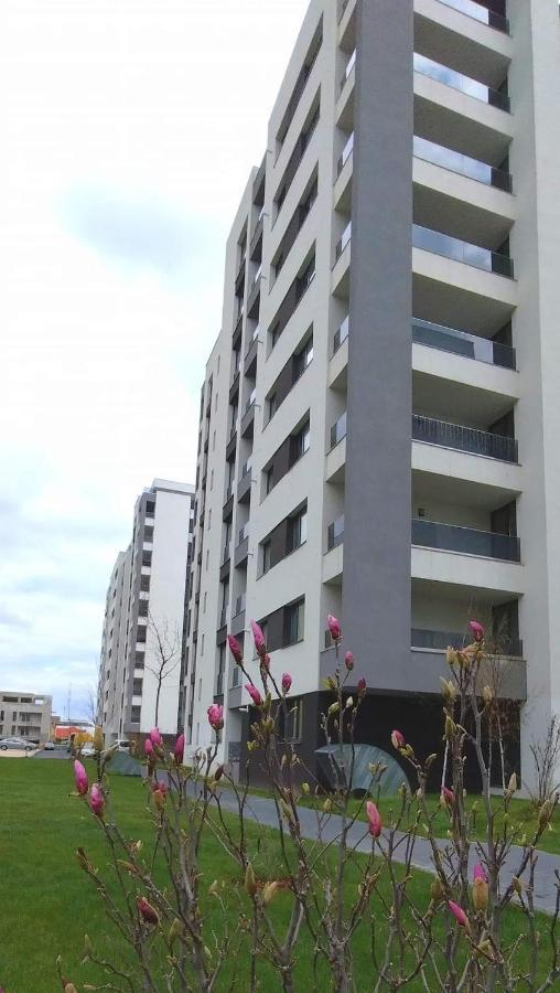 Brigitte Apartment Braşov Dış mekan fotoğraf
