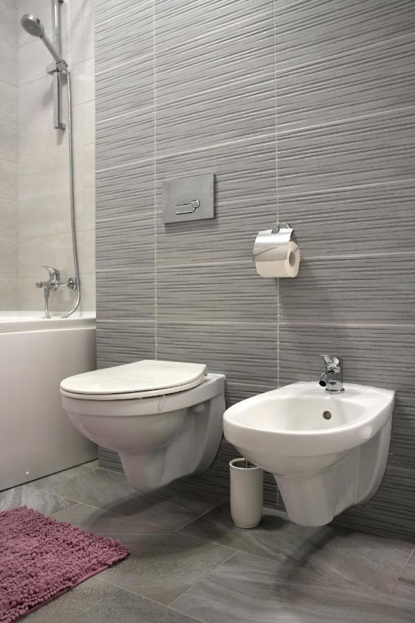 Brigitte Apartment Braşov Dış mekan fotoğraf