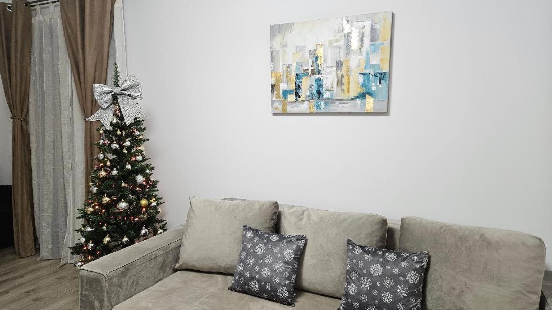 Brigitte Apartment Braşov Dış mekan fotoğraf