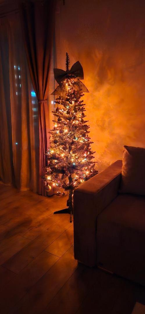 Brigitte Apartment Braşov Dış mekan fotoğraf